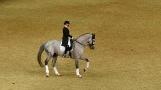 Belantis et Isabell Werth au départ du concours de Hagen