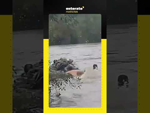 Vecinos de Villa Chicligasta se organizan en relevos para atravesar el río Gastona