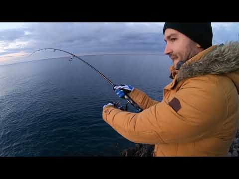 Spooled by big tuna