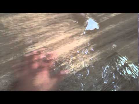 Red Roof Inn Hotel - Review in Other category from Athens, Alabama