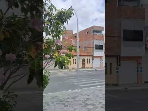 CIDADE DE ITATIM - BAHIA