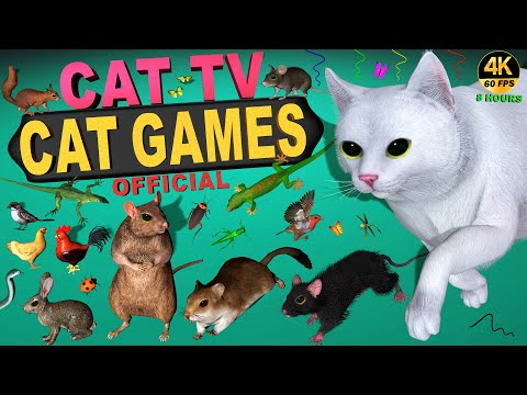 CAT GAMES COMPILATION 🐾 ULTIMATE BEST 3D VIDEO FOR CATS TO WATCH | CAT TV 4K GAMES COLLECTION