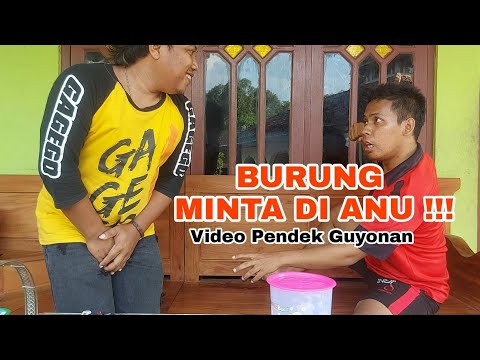 perkara-burung-bukan-anjing-video-pendek-guyonan
