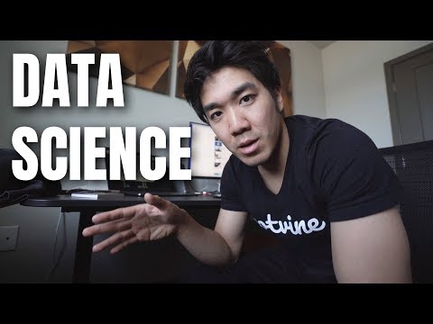 Data scientist video 2