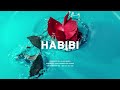 Bongo Fleva X Baibuda X Afrobeat Instrumental “Habibi” Produced By Allen Beats.