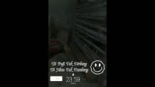 Download lagu Story wa ayam jago😎 mp3