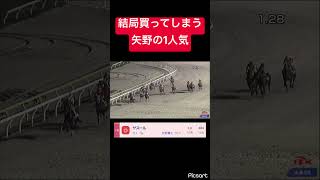 【懲りない】何度やられても矢野の1人気買ってしまう限界ギャンブラー #競馬