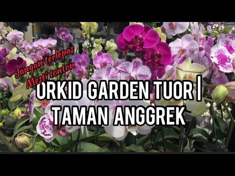 ORKID GARDEN TOUR | Taman Anggrek ~ Mesti Tonton