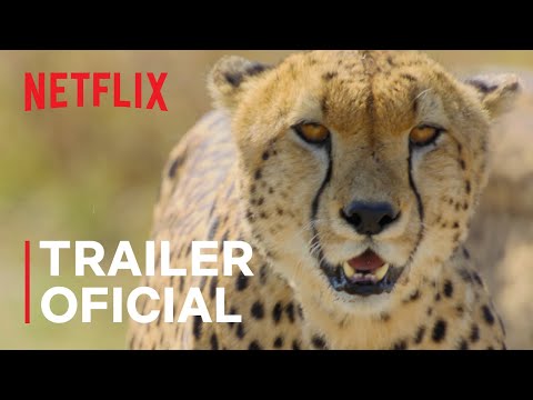 Trailer de A Beleza Secreta dos Animais (2021)