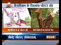 Poster war in Delhi over culling of hundreds of trees