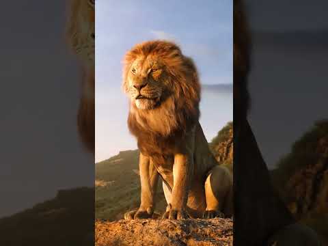 Jesus! O Leão da Tribo de Judá! #rujaoleão #leão #jesus #rei