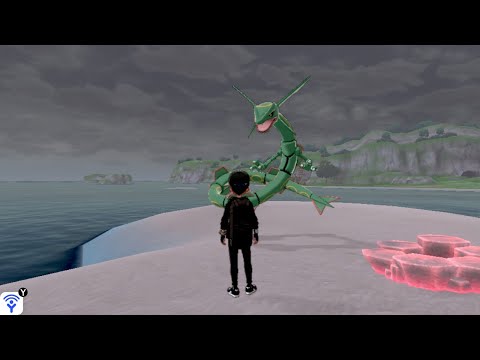 Poor Wailord when Rayquaza mistook it for Kyogre....