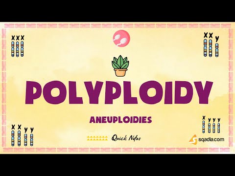 Aneuploidies | Polyploidy | Basic Genetics Concepts