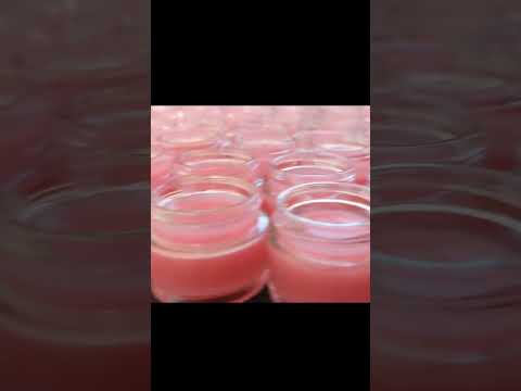 Herbal Strawberry Lip Balm