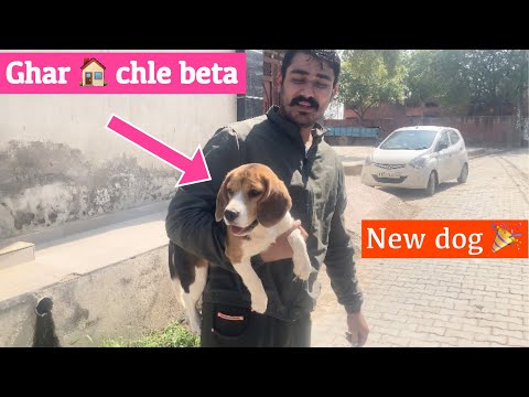 Khushi ko Ghar le aae 🥳 | new dog