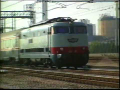 E444  Tartarughe in Romagna  09