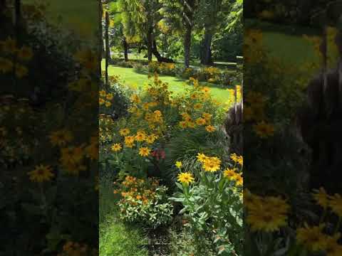 Flora-Park 🥀❤️