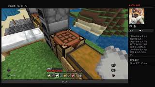 マイクラ
