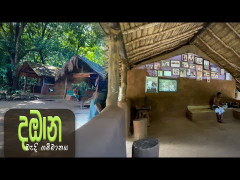 දඹානේ අද තත්වය | Sri Lanka's Last Indigenous People (Veddas) in Dambana, Mahiyanganaya