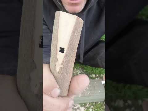 How To Make A Branch Flute (Part 2)