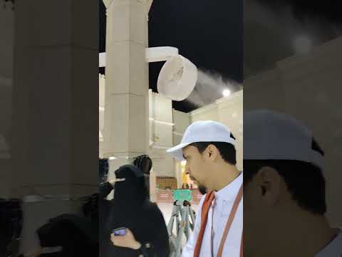 Rawdah Mubarak #rawdah #masjidulnabawi #madina #umrah #ramadan #2024