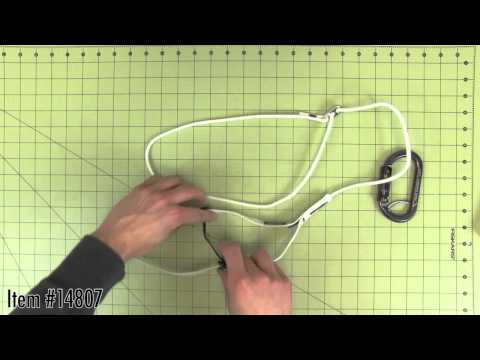 YouTube Thumbnail xC4R0hazp0o