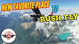 Discover New Zealand Bush Trip  video