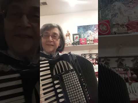 Promotional video thumbnail 2 for DonnaAccordionna