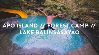 Apo Island x Forest Camp x Twin Lakes