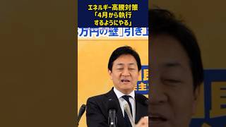 エネルギー高騰対策「4月から執行するようにやる」 #国民民主党 #玉木雄一郎