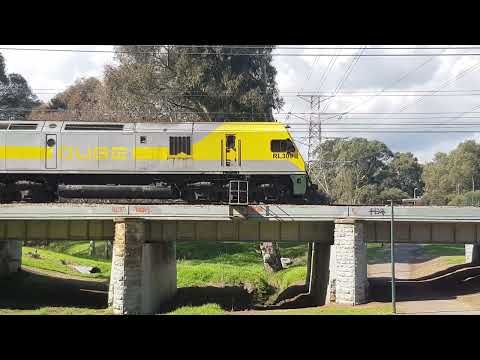 5 August 2024 #freighttrain #bowmans