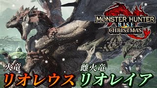 【MHシリーズ実況】モンハンディクショナリー：クリスマス　リオレウス＆リオレイア【ゆっくり実況】