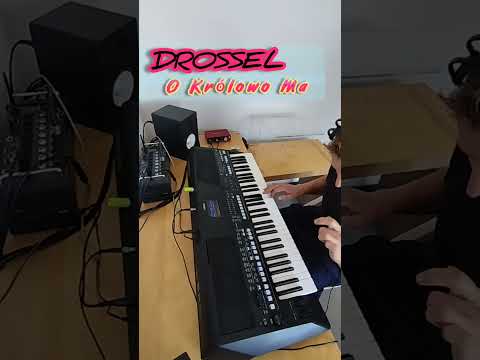 O Królowo Ma STYLE  Yamaha SX600 #yamahakeyboards #muzyka #keyboardcover