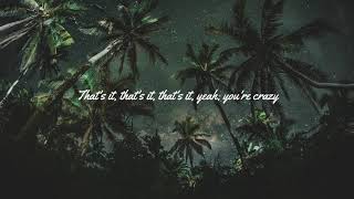 That’s It (I’m Crazy) - Sofi Tukker (Lyrics)