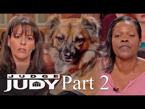 Neighbors Won't Return Dog to Original Owners | Part 2