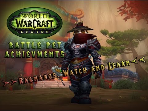 Master Tamer Flummox VS Elemental