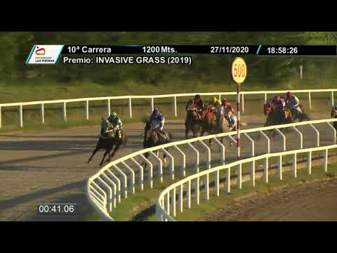 27/11/2020 – Hipodromo Las Piedras – Carr 10 – INVASIVE GRASS (2019)