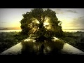 Caleb Kane - This Close