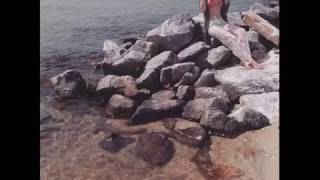 Download lagu Until Your Love Comes Back Around mp3