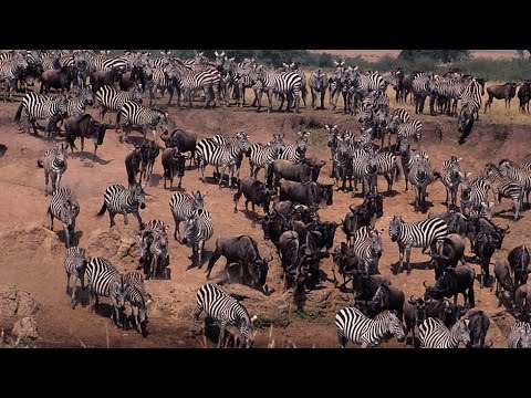 Grandes documentales - Cazadores creativos: Las trincheras