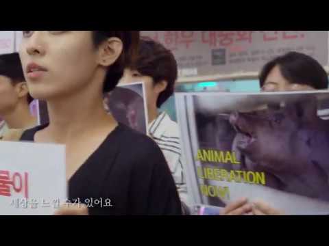 ì§ì ‘í–‰ë™DxE ëŒ€í˜•ë§ˆíŠ¸ ë°©í•´ì‹œìœ„ (ìžë§‰ ìžˆìŒ) - YouTube