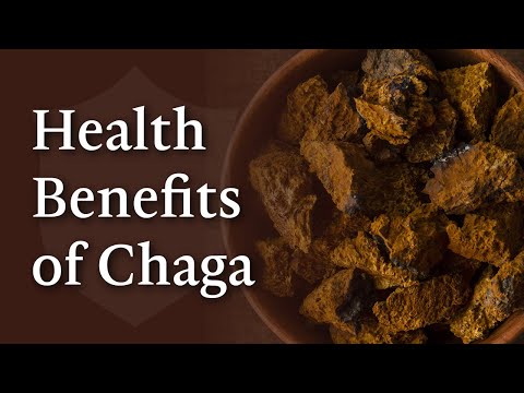 8 Health Benefits of Chaga Mushrooms You May Not Know