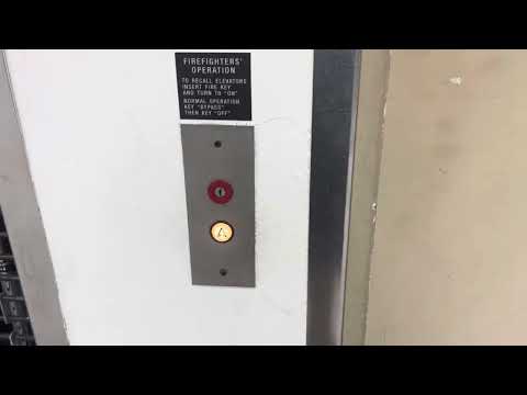 Miami Dover Hydraulic Elevator @ Palm Springs Mile, Hialeah, FL