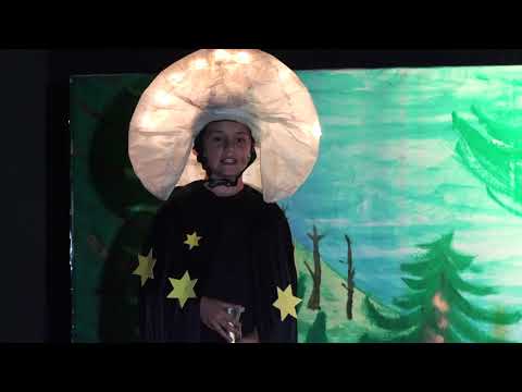 Mondlied - Musical Drei Wünsche frei -  Volksschule Krems/Lerchenfeld