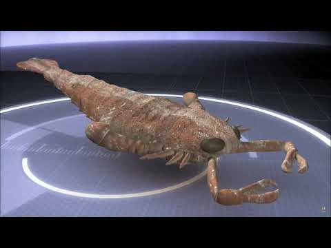 Monsterquest - Jaekelopterus