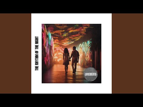 The Rhythm of the Night