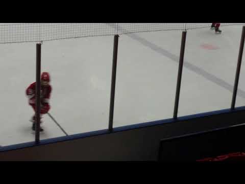 Toronto Eagles MinorAtom AA 2008 v Toros. PP Goal. Dec 2 2017