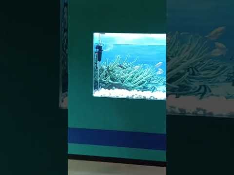 ❤🧡💛💚💙💜❤ #music #beach #love #travel #edm #viralvideo #bollywoodmusiclovers #newmusic #song #bolywood