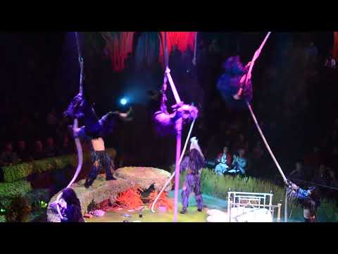 Trashin' the Camp — Tarzan