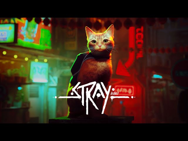 Stray: o jogo do gato para PS4, PS5 e PC – lançamento e gameplay